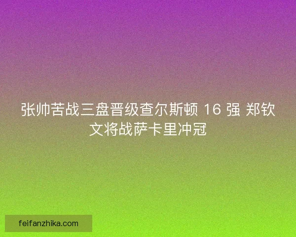 张帅苦战三盘晋级查尔斯顿 16 强 郑钦文将战萨卡里冲冠