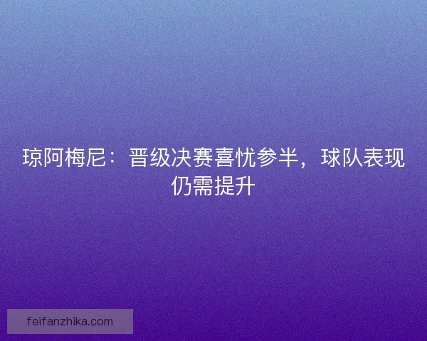 琼阿梅尼：晋级决赛喜忧参半，球队表现仍需提升